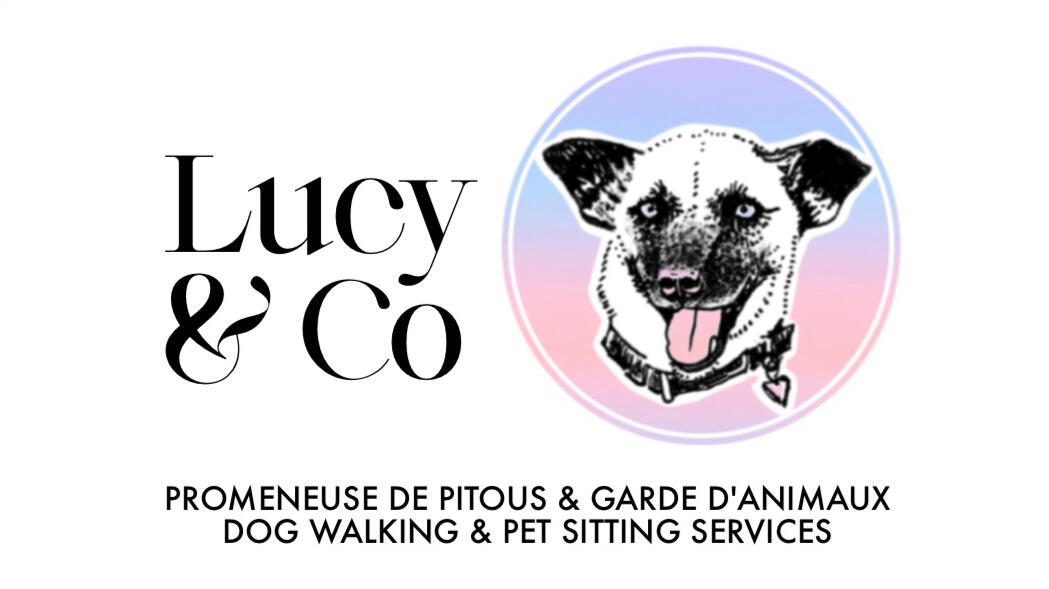Lucy & Co. Dog Walking